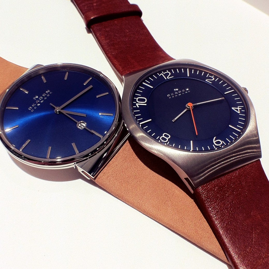 Skagen Blue & Brown